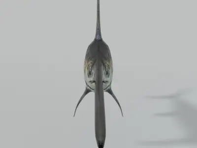 Swordfish marlin Low-poly 3D model purchase