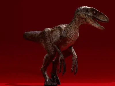 JP-VELOCIRAPTOR-RIGGED 3D model
