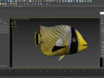 animal  aquarium underwater fish fishing sea sealife ocean 3D model