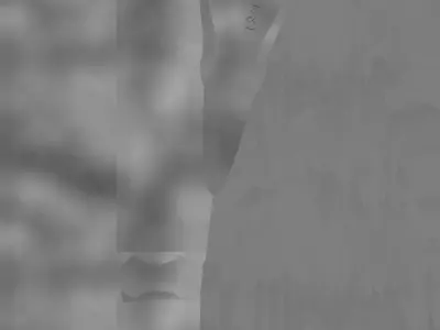 Viking Warhorn Low-poly 3D model