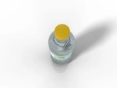 Water bottle  3D model