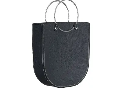 Silver Ring Mini Bag 3D model