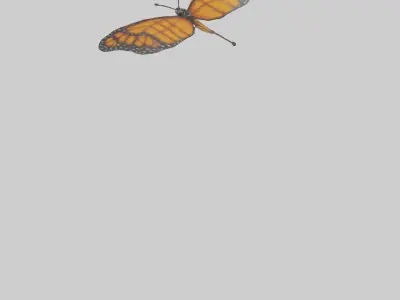 Monarch Butterfly flying model 3D model