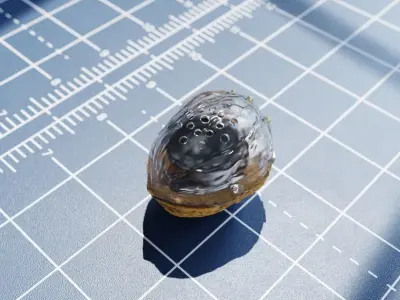 Walnut Speaker Design 3D model