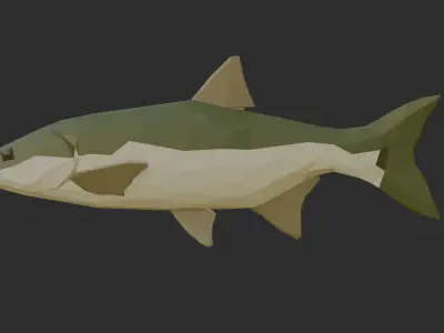 Low Poly Asp Low-poly 3D model