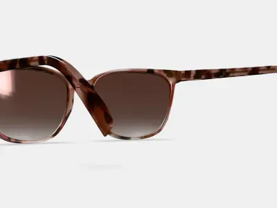 Esme Sunglasses in Sesame Tortoise Low-poly 3D model