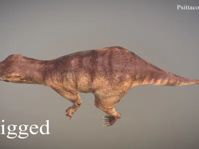 Thai Dinosaur Psittacosaurus Low-poly 3D model