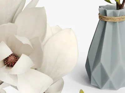 Magnolia Flower Branch in Faceted Vase White 3D model