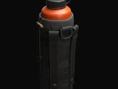 Water Pouch Low-poly 3D model