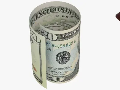 United States 20 Dollars Wallet Money Purse 3D model