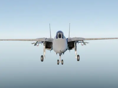 F-14 Tomcat Fighter Jet 3D model