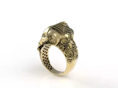 Elephant Ring 3D print model