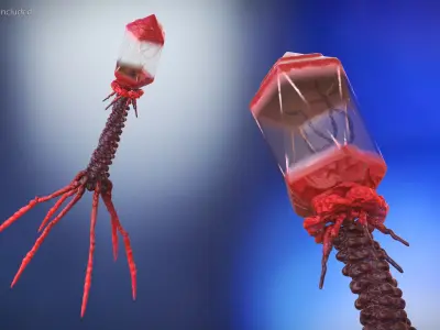  Bacteriophage Rigged for Cinema 4D 