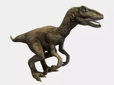 Velociraptor t - rex dinosaur Low-poly 3D model