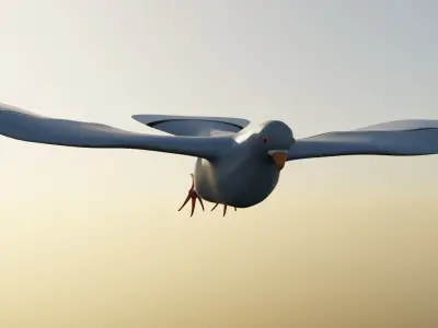 Pigeon Rig Low-poly 3D model