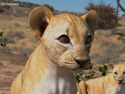 Lion Cub Sitting 3D model