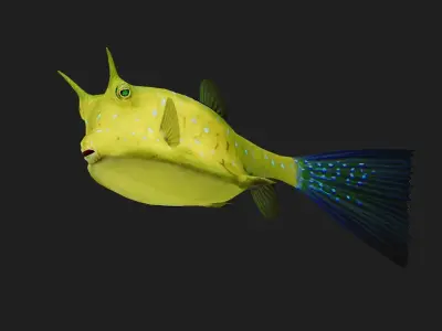 Filefish Low-poly 3D model purchase