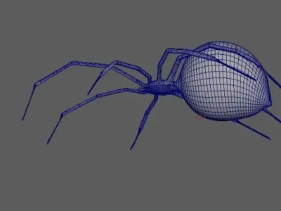 Spider Black Widow 3D model buy