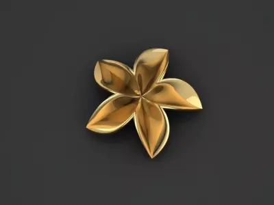 Ring and Earing 3D model