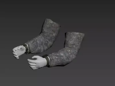 FPS ARMS 3D model