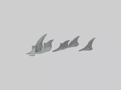 Shark Fins Model 3D model
