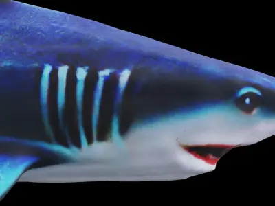 Low-polygon shark model Low-poly 3D model