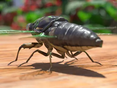 Flying Insects Collection 6 3D model