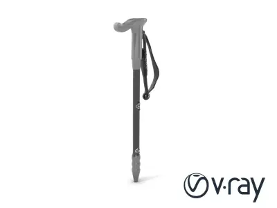 Adventure Trail Pole model pack with ergonomic grip and matte... Low-poly 3D model