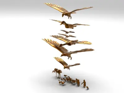 Bird Collection low poly game ready Low-poly 3D model