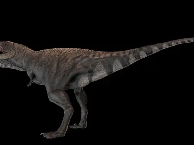 Skorpiovenator Dinosaur Asset Pack Low-poly 3D model