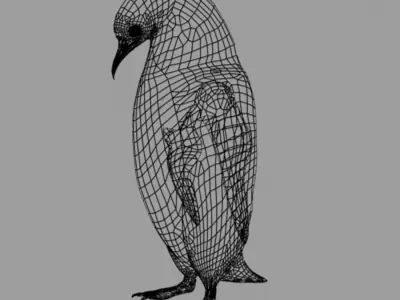 Penguin 3D model buy