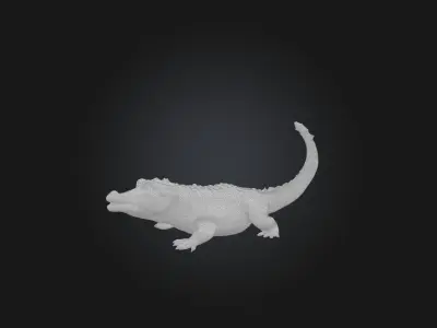 Realistic Alligator Model Low-poly 3D model