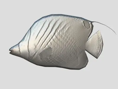 Auriga Butterflyfish Realistic Animated Low-poly 3D model