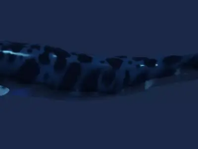 Basilosaurus isis 3D model