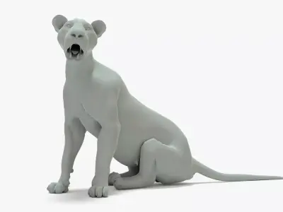 Lioness Rigged Basemesh Low-poly 3D model