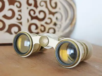 Old binoculars  3D model