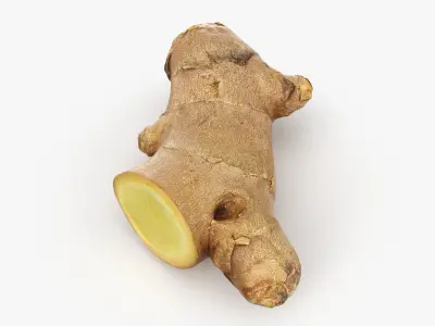 Ginger Slices Collection 3D model