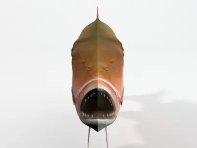 Snapper fish Low-poly 3D model