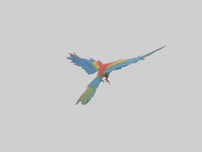 Macaw flying model Low-poly 3D model