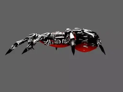 Spider 3D model 17
