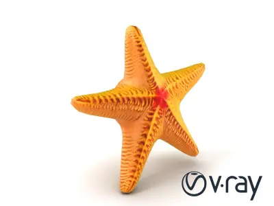 Textured Starfish Marine Creatures model pack Low-poly 3D model