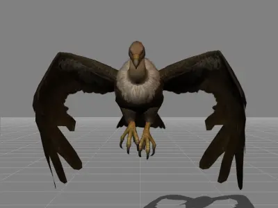 Vulture Bird Buzzard Animal Low-poly 3D model
