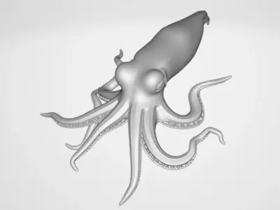 Realistic Squid 3D model