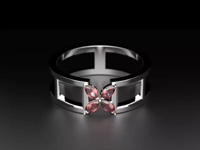 Spring rings 3D print model