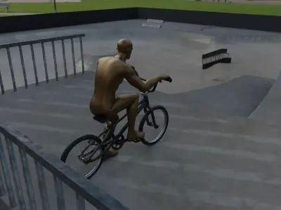 BMX 3D Full Custom RIG Low-poly 3D model
