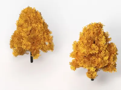  Lowpoly Decorative Maple Landscape Tree Yellow 