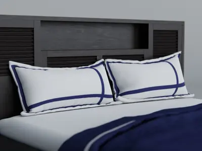 King Sized Bed with Pair of Pillow 3D model