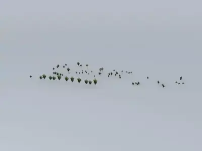 Trees on the Port Part 07 Free 3D model