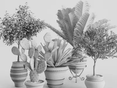 Set Mediterranean Plants In Antique Pots 3D model