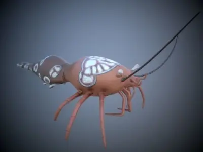Shrimp 3D model buy